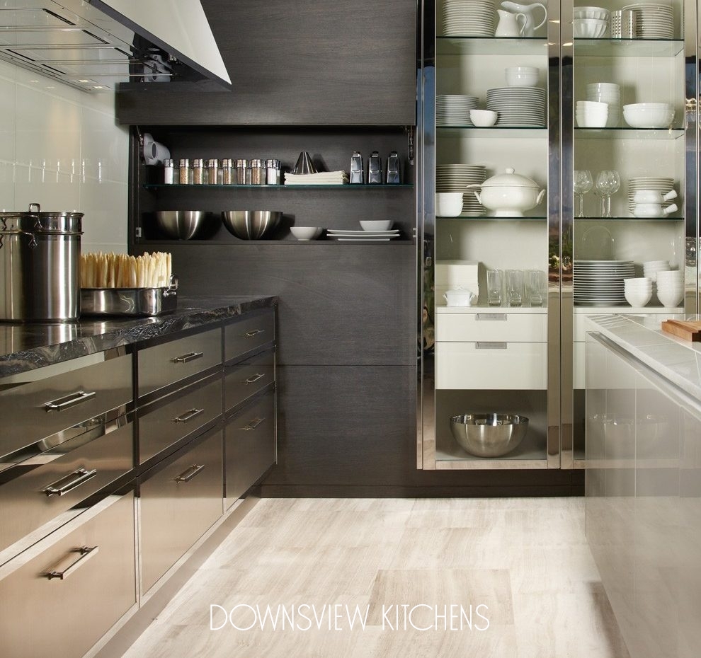 MODERN REFLECTIONS - Downsview Kitchens and Fine Custom